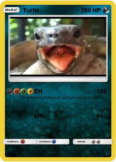 Pokemon Turtle
