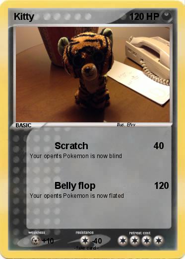 Pokemon Kitty
