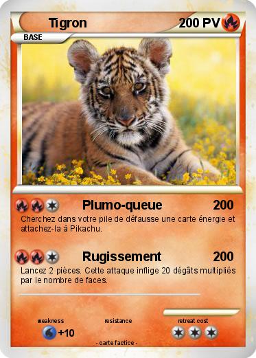 Pokemon Tigron