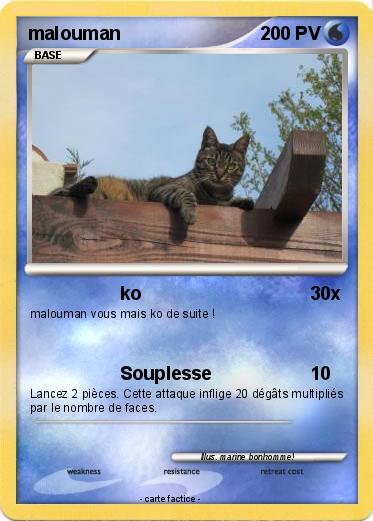 Pokemon malouman