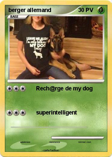 Pokemon berger allemand