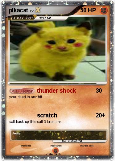 Pokemon pikacat
