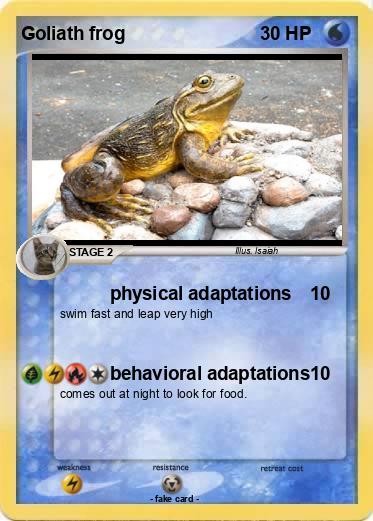 Pokemon Goliath frog
