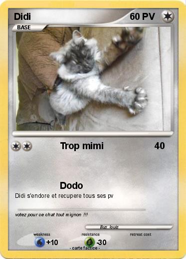 Pokemon Didi