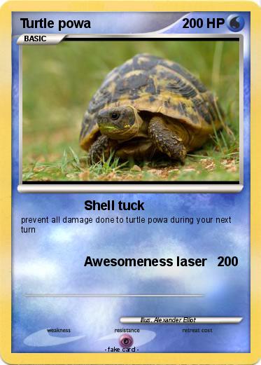 Pokemon Turtle powa