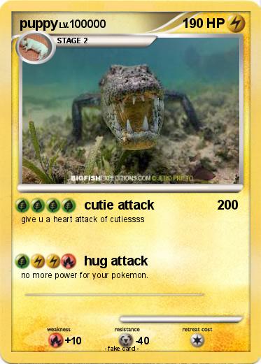 Pokemon puppy