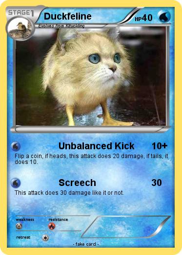 Pokemon Duckfeline