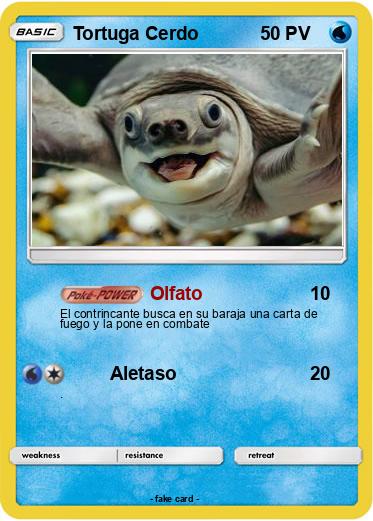 Pokemon Tortuga Cerdo