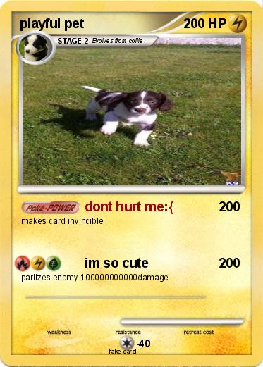 Pokemon playful pet