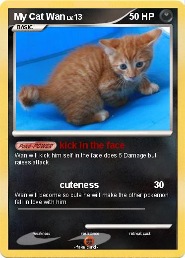 Pokemon My Cat Wan