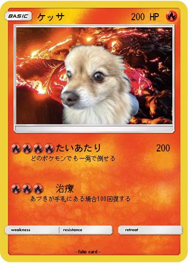 Pokemon ケッサ