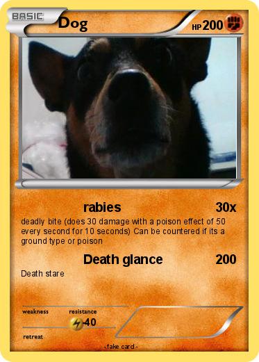 Pokemon Dog