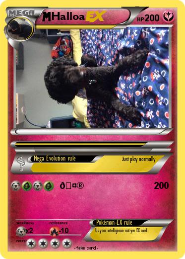 Pokemon Halloa