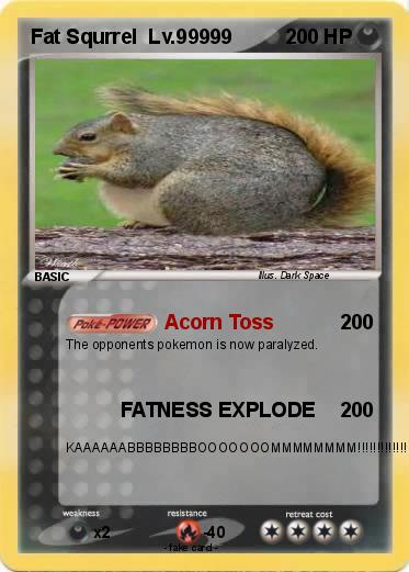 Pokemon Fat Squrrel  Lv.99999