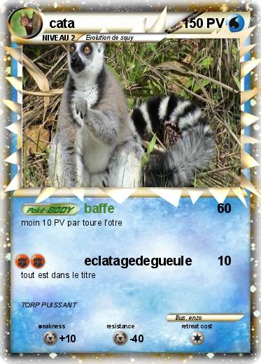 Pokemon cata