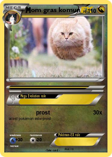 Pokemon om gras komun