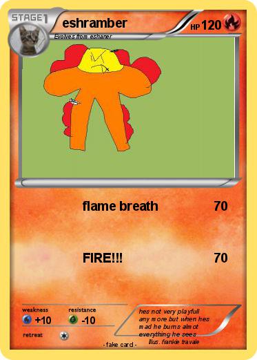 Pokemon eshramber