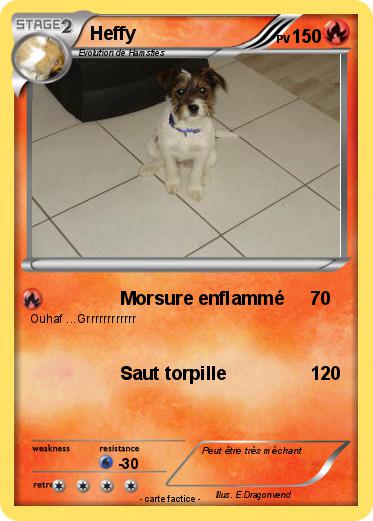 Pokemon Heffy
