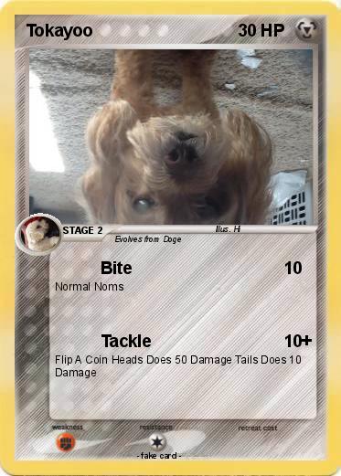 Pokemon Tokayoo