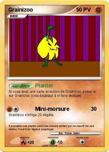Pokemon Grainizoo