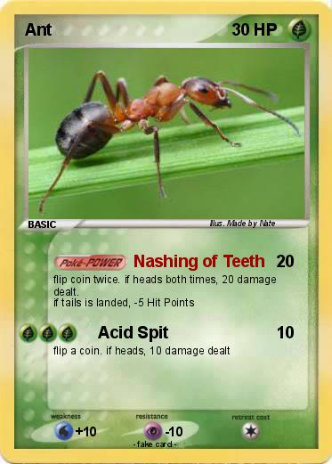 Pokemon Ant