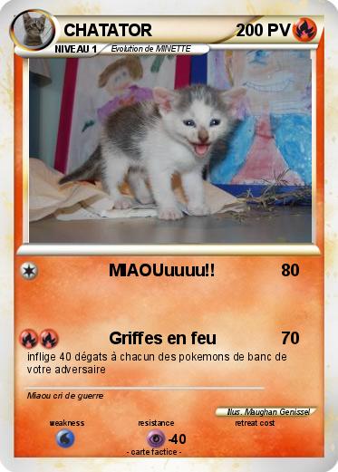 Pokemon CHATATOR
