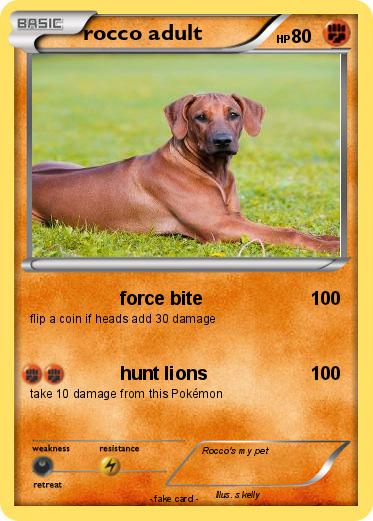 Pokemon rocco adult