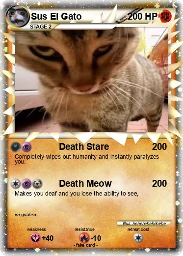 Pokemon Sus El Gato