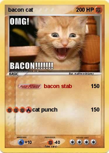 Pokemon bacon cat