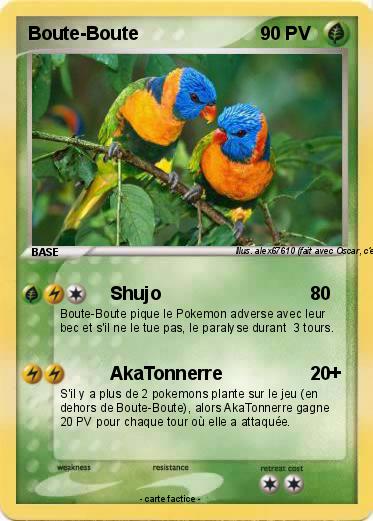 Pokemon Boute-Boute