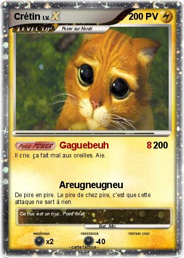Pokemon Crétin