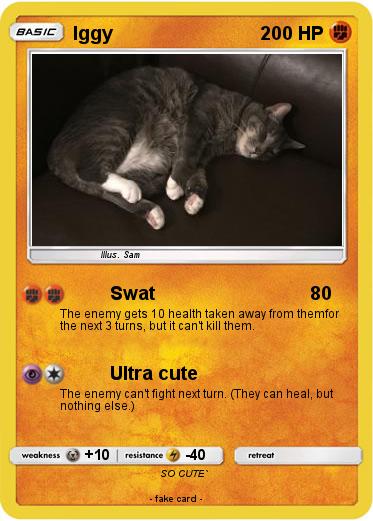 Pokemon Iggy