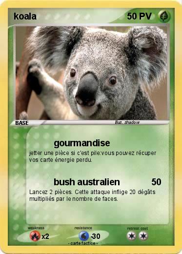 Pokemon koala