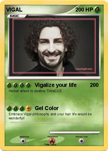 Pokemon VIGAL