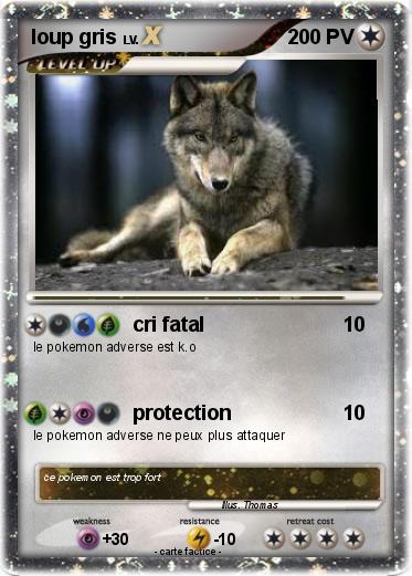 Pokemon loup gris