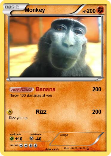 Pokemon Monkey