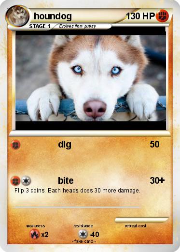 Pokemon houndog