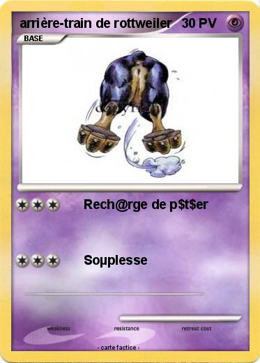 Pokemon arrière-train de rottweiler