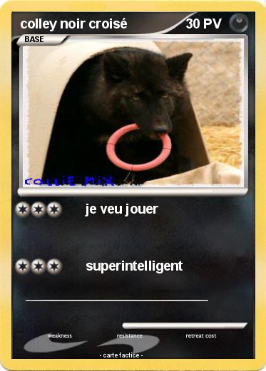 Pokemon colley noir croisé