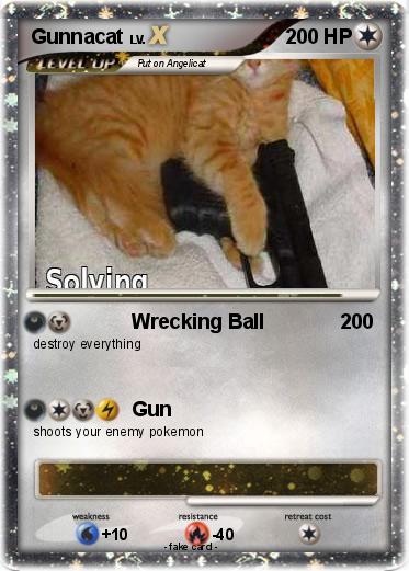 Pokemon Gunnacat