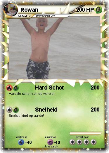 Pokemon Rowan