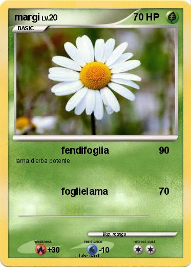 Pokemon margi
