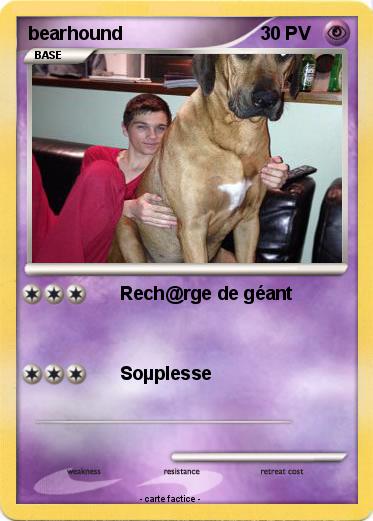 Pokemon bearhound