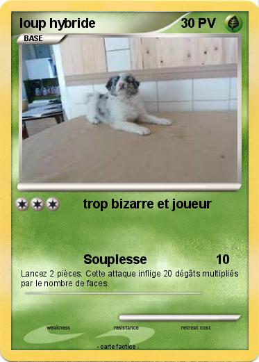 Pokemon loup hybride