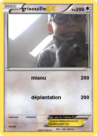 Pokemon grisouille