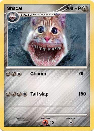 Pokemon Shacat