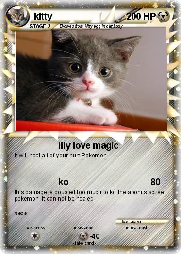 Pokemon kitty