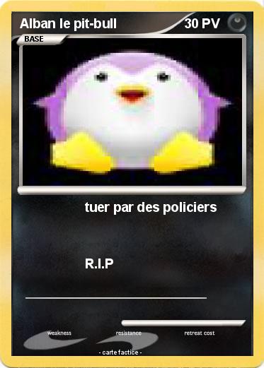 Pokemon Alban le pit-bull