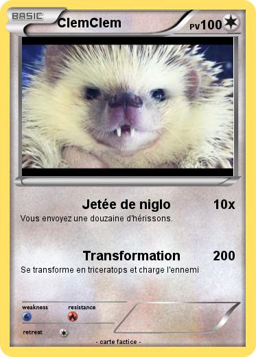 Pokemon ClemClem