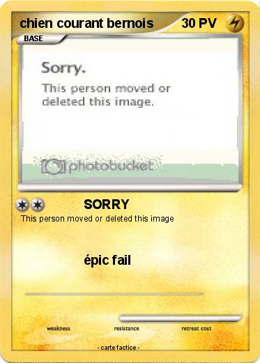 Pokemon chien courant bernois